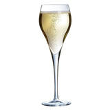 Arcoroc Brio Champagneglazen - 160ml - 6 Stuks.